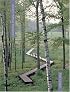 Gardens Without Boundaries