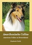 Amerikanische Collies: American Collies in Deutschland