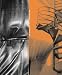 Books : Anderson Anderson, Architecture and Construction