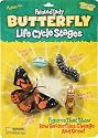 Insect Lore Ilp4760 Butterfly Life Cycle Stages