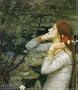 J W Waterhouse : Paperback , �dition en langue anglaise