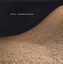 Maya Lin: Systematic Landscapes