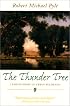 The Thunder Tree: Lessons from and Urban Wildland