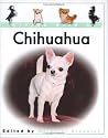 Living with a Chihuahua