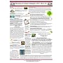 Business Contact Manager 2007 How-To / Word 2007 How-To