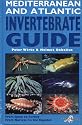 Mediterranean and Atlantic Invertebrate Guide: From Spain to Turkey, from Norway to the Equator