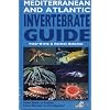Mediterranean and Atlantic Invertebrate Guide: From Spain to Turkey, from Norway to the Equator