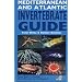 Mediterranean and Atlantic Invertebrate Guide: From Spain to Turkey, from Norway to the Equator