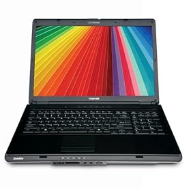 Toshiba Satellite L355-S7835 17-Inch Laptop (2.0 GHz Intel Core 2 Duo T5800 Processor, 4 GB RAM, 320 GB Hard Drive, DVD Drive, Vista Premium)