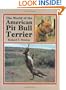 The World of the American Pit Bull Terrier