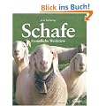 Schafe: Freundliche Weidetiere