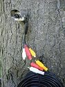 Hawk Eye Nature Cam Unplugged