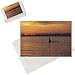 Photo Jigsaw Puzzle of Killer whale / Orca - Male (tall dorsal fin) from Ardea Wildlife Pets