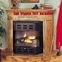 Natural Gas Bayfront Fireplace