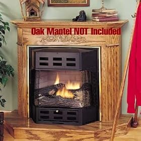 Natural Gas Bayfront Fireplace