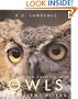 Owls: The Silent Flyers