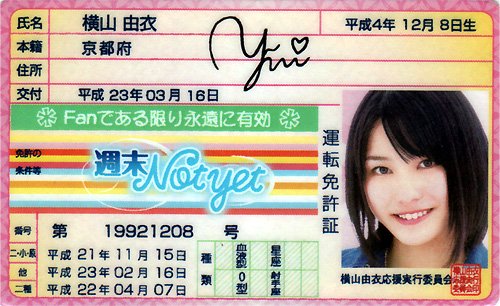 AKB48免許証 週末Notyet【横山由衣】