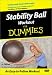 Stability Ball Workout for Dummies