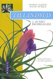 Tillandsias et autres bromeliacées : Comment les choisir et les cultiver facilement