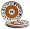 Caleca Sole 4-Piece Dinner Plate Set