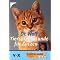 Nicht f�r die Katz