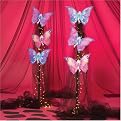Fairy Frenzy Stands