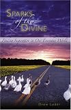Sparks of the Divine