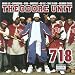 Theodore Unit-718 [Vinyl]