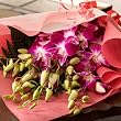 �����z�B���ԉ�����@�C�O�����A���ꂽ���́A�V�N���̂��́B��̍��̒g���Ȋ����F�N�₩�Ɉ�Ă܂����I�y���������z�V�N�m���f���t�@���ԑ��i�������ܕt�E���b�Z�[�W�J�[�h�t�j [���������E�����z�B] �a�����E�L�O���E�����j���E���������E�����}��̉Ԃ̔z�B