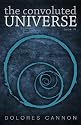 The Convoluted Universe: Book Four