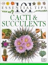 Cacti and Succulents