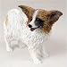 Papillon, Brown/White Original Dog Figurine (4in-5in)