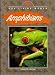 Search : Our Living World - Amphibians (Our Living World)