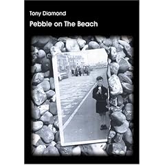 Pebble on the Beach
