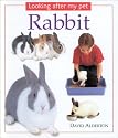 Looking After My Pet Rabbit
