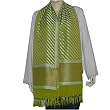 Neck Scarf Chiffon Silk Womens Accessories 22 x 72 inches