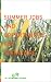 Summer Jobs and Opportunities for Teenagers: A Planning Guide (Lifeworks Guide)