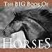 The Big Book of Horses (Big Book of . . . (Welcome Books))