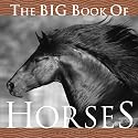 The Big Book of Horses (Big Book of . . . (Welcome Books))