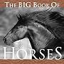 The Big Book of Horses (Big Book of . . . (Welcome Books))