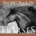 The Big Book of Horses (Big Book of . . . (Welcome Books))
