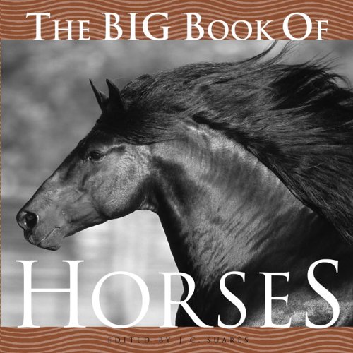 The Big Book of Horses (Big Book of . . . (Welcome Books))