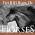 The Big Book of Horses (Big Book of . . . (Welcome Books))