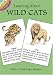 Learning About Wild Cats (Learning about Books (Dover))