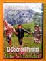 El Color del Paraiso (The Color of Paradise) [Import NTSC Region 1 and 4] Majid Majidi (Spanish subtitles)