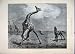 1884 Giraffe Man Shooting Horse Antique Fine Art