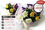 �y�t�����[�}�[�P�b�g�ԗR�z �y���~�ɋA��Ȃ����Ȃ��Ɂz�������p�̂P��(2��)�̉ԑ�