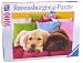 Ravensburger 19115 - Auf Schmusekurs 1000 Teile Puzzle