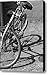 Bike Shadow Canvas Print / Canvas Art - Artist Lauri Novak