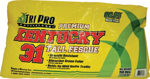 TriPro Kentucky 31 Turf-Type Tall Fescue Seed, 50-Pound